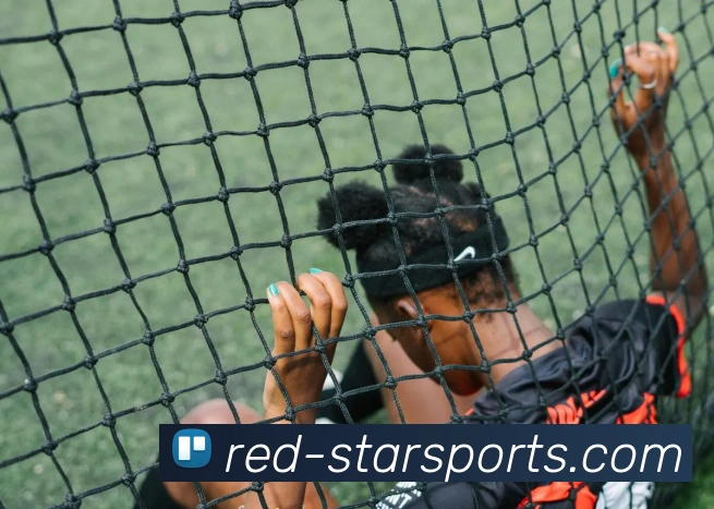 星空体育官网APP 封面图